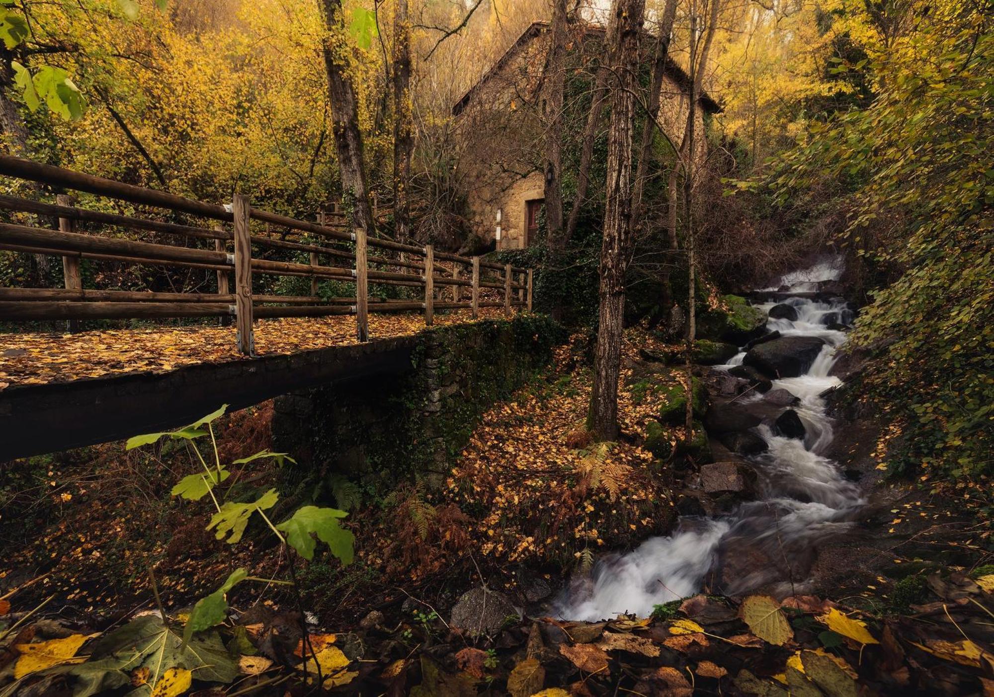 Acebuche, Descubre El Otoño Mágico En El Valle De Ambroz Casa di campagna *