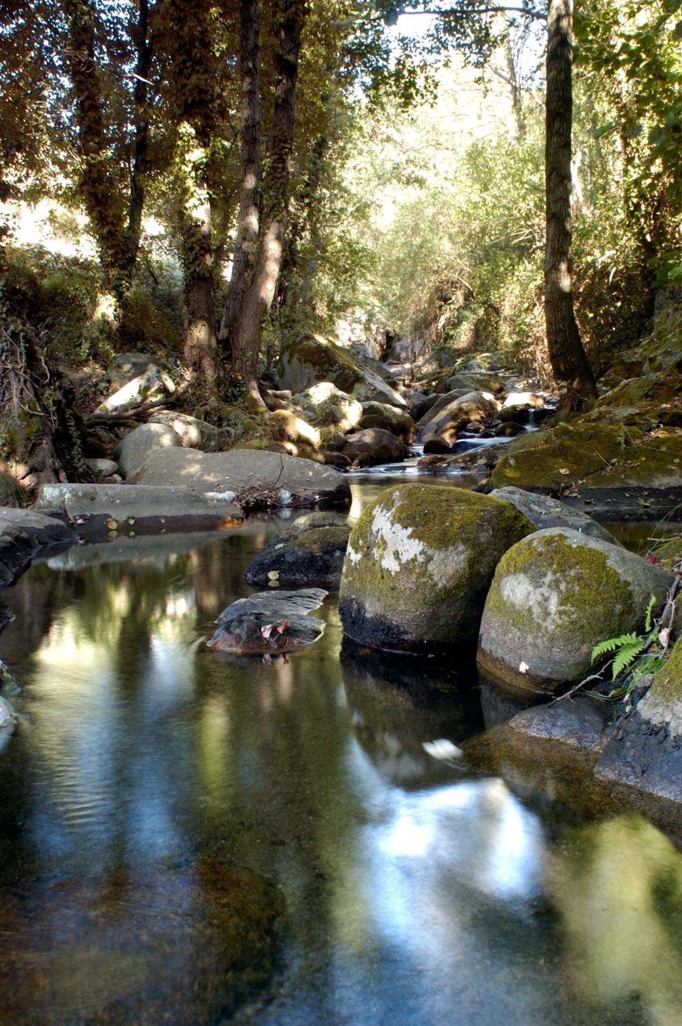 Acebuche, Descubre El Otoño Mágico En El Valle De Ambroz